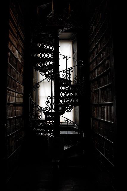 designer reviewing bookshelf layout and lighting plan in a private library setting