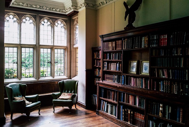private library corner with wood shelves, brass lamp, green accents and fireplace glow